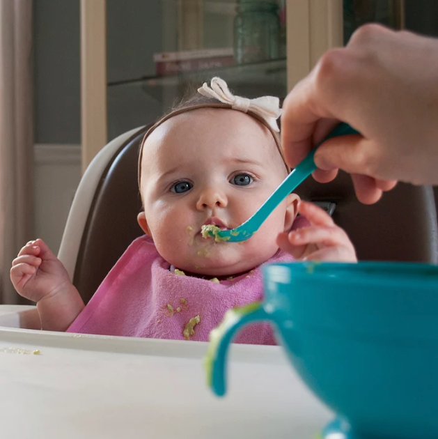 Nuby Garden Fresh Mash N Feed with Spoon Bowl Single Pack