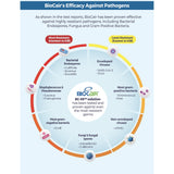 Biocair Classic 250 BioActive Anti-HFMD Bundle
