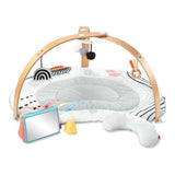 Skip Hop Discoverosity Deluxe Activity Gym