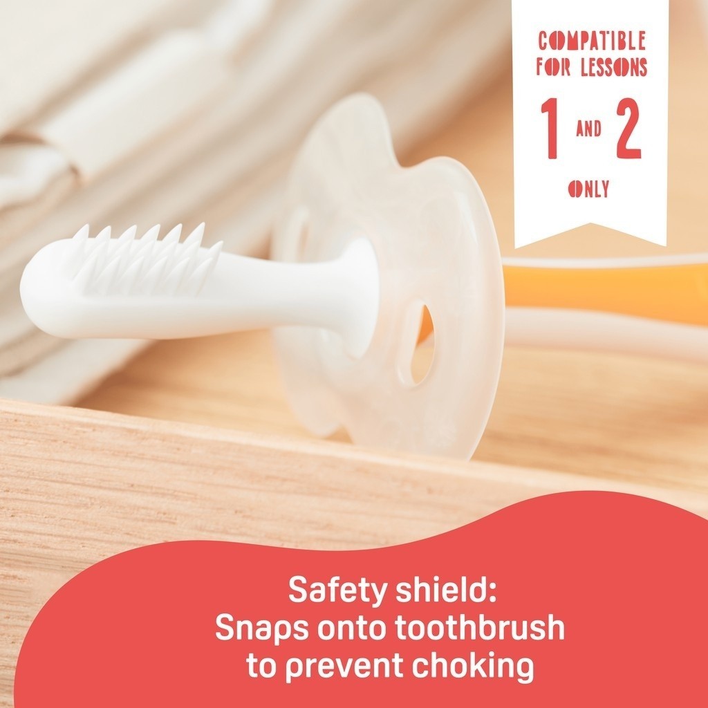 Pigeon Training Toothbrush Lesson 123