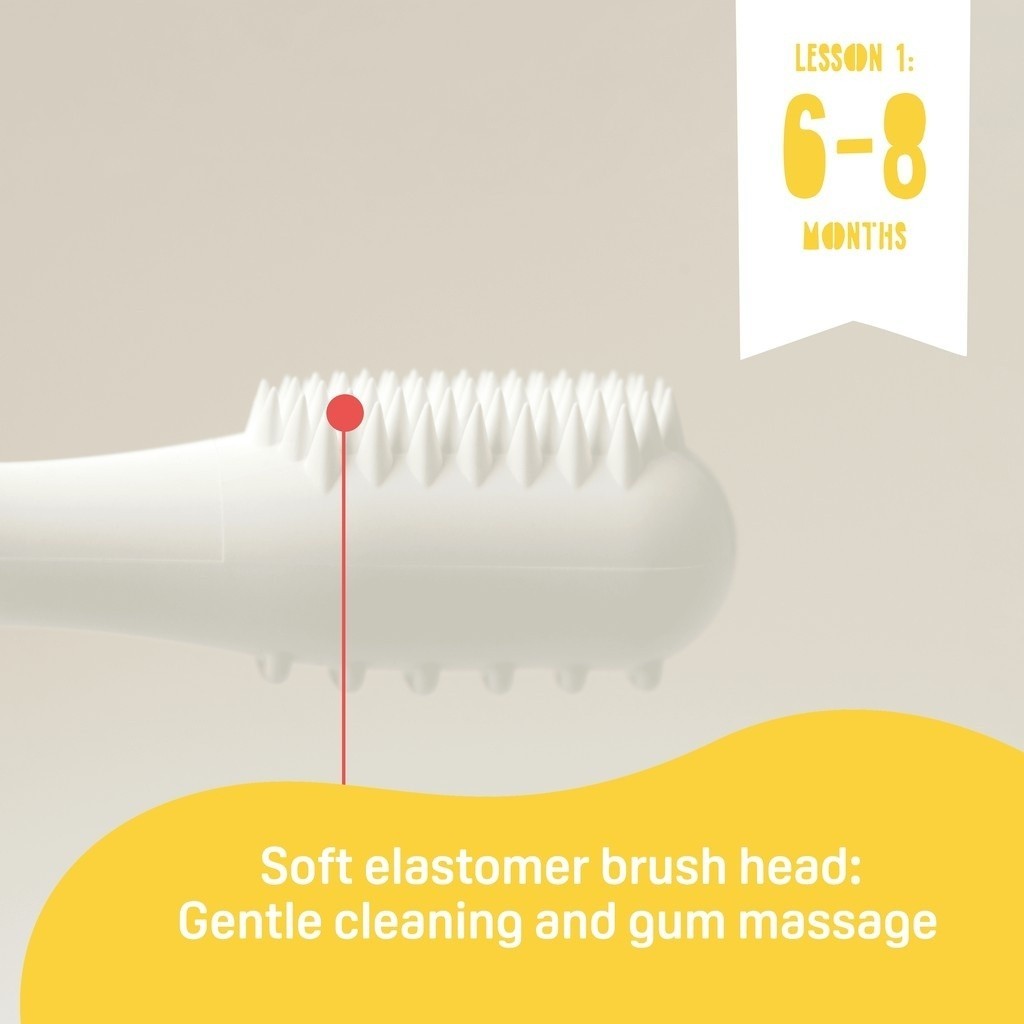 Pigeon Training Toothbrush Lesson 123