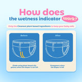 Peachy Bum Cloud Soft Diaper Pants | Size M | L | XL | XXL (1pack)