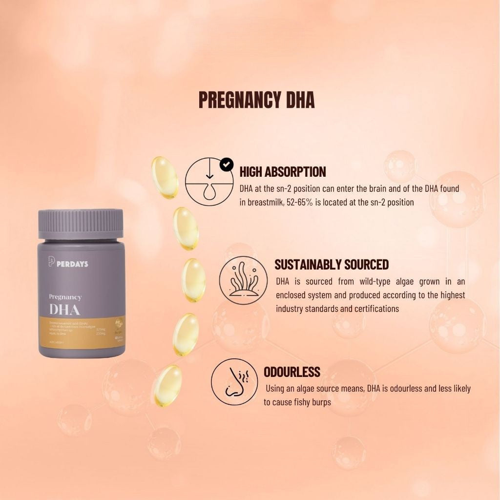 PERDAYS Pregnancy DHA  - Sn2 DHA - Brain & Eye Development Support - 60 Capsules