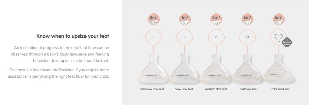 Hegen Teat Slow Flow, 2-Pack (1 to 3 months)