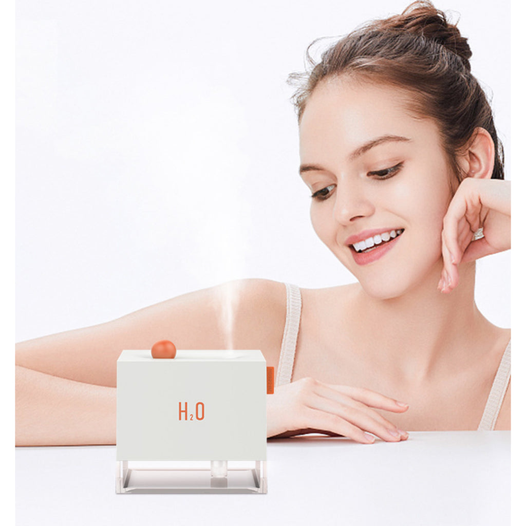 NemoBaby Mini Automobile Humidifier with night light